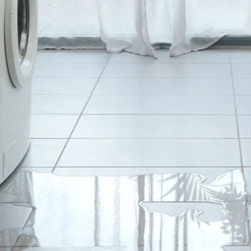 Appliance Leak Cleanup in Clear Lake, WA