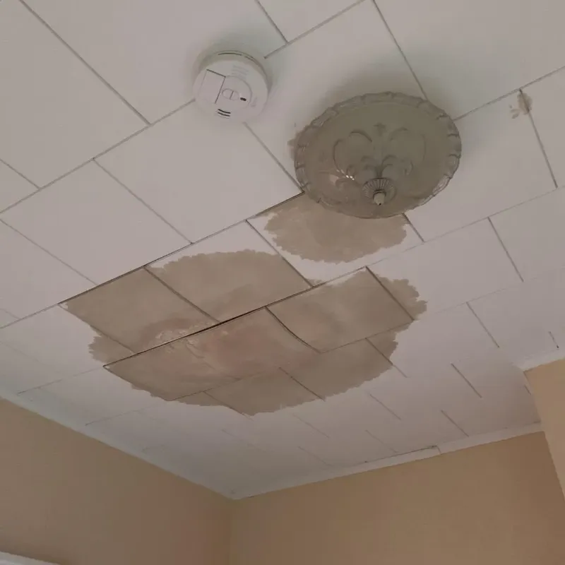 Ceiling Water Damage Repair in Clear Lake, WA