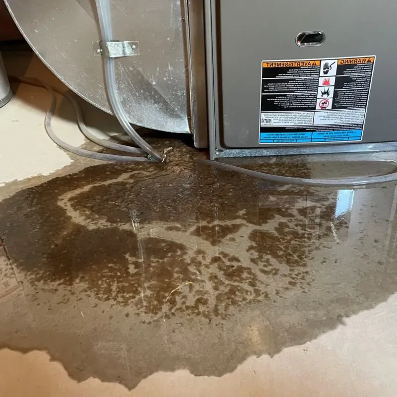 Pipe Burst and Leak Restoration in Clear Lake, WA